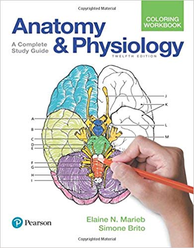 Anatomy and Physiology Coloring Workbook  A Complete Study Guide